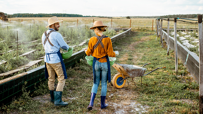 If you operate a farm or work with those who do, there may come a time when you require the assistance of a seasoned Pennsylvania agricultural law attorney.